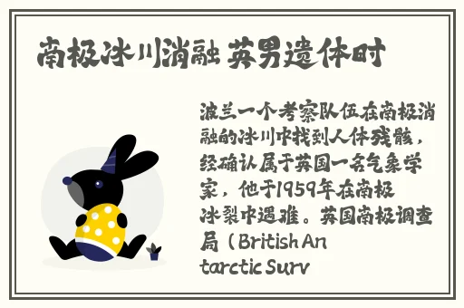 开放伴侣什么意思